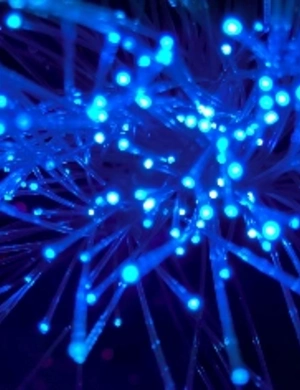 Нейросеть предсказала победителей Премии МУЗ-ТВ 2025. Легенда. ЧАСТЬ ВТОРАЯ