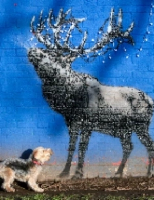 Раскрыто имя знаменитого уличного художника Бэнкси