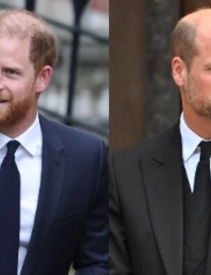 Принц Гарри пытался помириться с принцем Уильямом через посредника