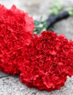 Ушел из жизни итальянский певец и актер Сандро Джакоббе Ушел из жизни итальянский певец и актер Сандро Джакоббе