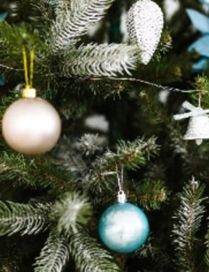 Как встретить 2026 год огненной лошади