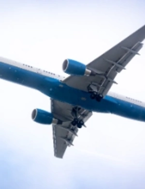 Посадивший самолет в поле пилот теперь работает курьером и получил иск на 119 млн Посадивший самолет в поле пилот теперь работает курьером и получил иск на 119 млн