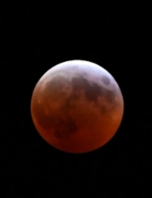 Гороскоп на ноябрь: у Дев ожидается романтический месяц Гороскоп на ноябрь: у Дев ожидается романтический месяц