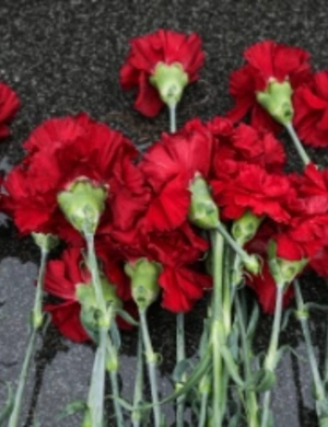 Актер Александр Зиновьев скончался