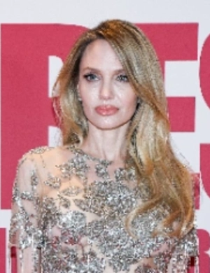 Анджелина Джоли подогрела слухи о романе, появившись на премьере фильма с Луи Гаррелем