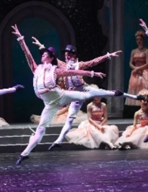 Четыре билета на «Щелкунчика» ушли с молотка за 510 тысяч рублей Четыре билета на «Щелкунчика» ушли с молотка за 510 тысяч рублей