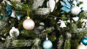 Как встретить 2026 год огненной лошади