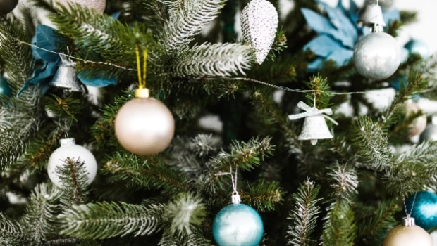 Как встретить 2026 год огненной лошади