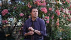 Данила Козловский предупредил поклонников о мошеннице, прикрывающейся его именем Данила Козловский предупредил поклонников о мошеннице, прикрывающейся его именем