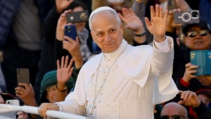 Папа Римский Лев XIV раскрыл список своих любимых фильмов Папа Римский Лев XIV раскрыл список своих любимых фильмов