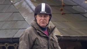 Принц Эндрю получил перед переездом список разрешенных и запрещенных животных — корги под вопросом