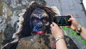 Паша Техник стал самой популярной персоной в русской Википедии в 2025 году