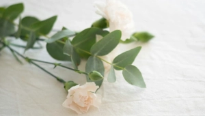 Ушел из жизни звезда фильма «Три плюс два» Геннадий Нилов Ушел из жизни звезда фильма «Три плюс два» Геннадий Нилов