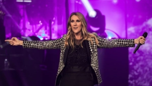 Селин Дион облачилась в костюм Гринча ради рождественского сюрприза для поклонников Селин Дион облачилась в костюм Гринча ради рождественского сюрприза для поклонников