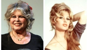 Брижит Бардо вышла на связь после слухов о своей смерти Брижит Бардо вышла на связь после слухов о своей смерти