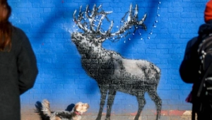 Раскрыто имя знаменитого уличного художника Бэнкси