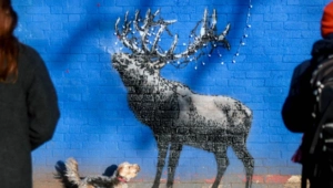 Раскрыто имя знаменитого уличного художника Бэнкси