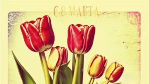 70+ С 8 Марта: самые красивые открытки и картинки