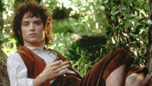 Элайджа Вуд «сорвал» свадьбу в стиле «Властелина колец» в деревне Хоббитон