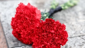 Создатель игр Call of Duty и Battlefield Винс Зампелла погиб в автокатастрофе