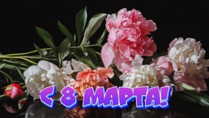 Лучшие открытки с 8 Марта коллегам и клиенткам Лучшие открытки с 8 Марта коллегам и клиенткам