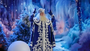 В НЦ «Россия» состоялась премьера новогоднего спектакля «Морозко» В НЦ «Россия» состоялась премьера новогоднего спектакля «Морозко»