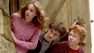 Рэдклифф раскрыл нелепое предложение о ремейке «Волшебника страны Оз» с трио из «Гарри Поттера»