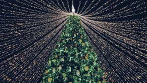 История новогодних традиций: от оливье до бенгальских огней История новогодних традиций: от оливье до бенгальских огней