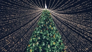 История новогодних традиций: от оливье до бенгальских огней История новогодних традиций: от оливье до бенгальских огней