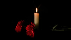Актер Пол Эйвери и его жена погибли при пожаре в собственном доме в Нью-Джерси Актер Пол Эйвери и его жена погибли при пожаре в собственном доме в Нью-Джерси