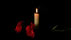 Актер Пол Эйвери и его жена погибли при пожаре в собственном доме в Нью-Джерси Актер Пол Эйвери и его жена погибли при пожаре в собственном доме в Нью-Джерси