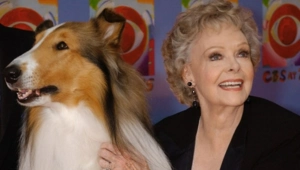 Скончалась звезда сериалов «Затерянные в космосе», «Лесси» и «Беверли-Хиллз, 90210» Джун Локхарт Скончалась звезда сериалов «Затерянные в космосе», «Лесси» и «Беверли-Хиллз, 90210» Джун Локхарт