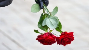 Создатель клипа Shaman «Я — русский» Иван Ушатиков ушел из жизни