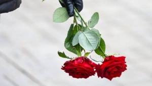 Создатель клипа Shaman «Я — русский» Иван Ушатиков ушел из жизни