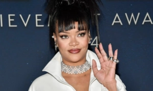 Полиция задержала женщину, стрелявшую в дом Рианны