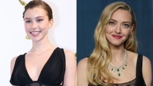 Анна Пересильд вступилась за американскую актрису Аманду Сайфрид