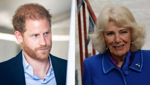 СМИ: Принц Гарри объявил «войну» Камилле и может не помириться с Карлом III