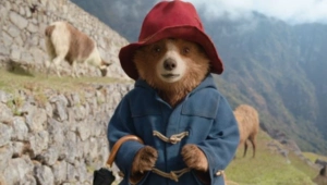 Медвежонок Паддингтон станет ведущим церемонии BAFTA — впервые в истории премии