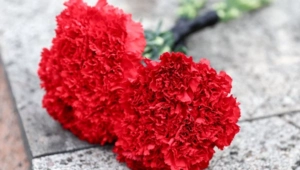 Умер заведующий музыкальной частью Театра кукол имени Образцова Николай Шамшин