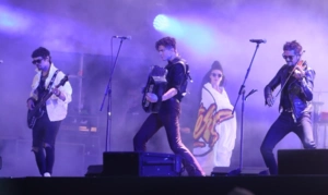 The Hatters организовали бракосочетание поклонников во время новогоднего концерта