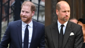 Принц Гарри пытался помириться с принцем Уильямом через посредника Принц Гарри пытался помириться с принцем Уильямом через посредника