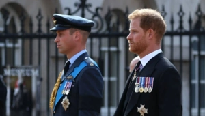 Названа главная причина вражды между принцами Уильямом и Гарри