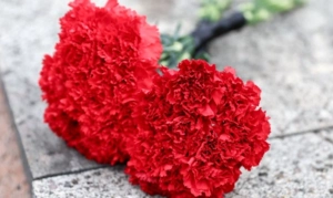 Умер актер из сериалов «Лихие» и «Ищейка» Вячеслав Поляков Умер актер из сериалов «Лихие» и «Ищейка» Вячеслав Поляков