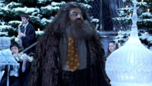 Без волшебства не обошлось: Ник Фрост рассказал, как получил роль Хагрида в новом «Гарри Поттере» Без волшебства не обошлось: Ник Фрост рассказал, как получил роль Хагрида в новом «Гарри Поттере»