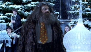 Без волшебства не обошлось: Ник Фрост рассказал, как получил роль Хагрида в новом «Гарри Поттере» Без волшебства не обошлось: Ник Фрост рассказал, как получил роль Хагрида в новом «Гарри Поттере»