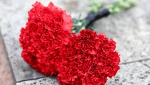 Скончался актер из «Матрицы» Мартин Грелис Скончался актер из «Матрицы» Мартин Грелис