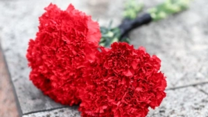 Скончался актер из «Матрицы» Мартин Грелис