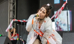 Панк-группа Pussy Riot внесена в перечень террористов и экстремистов