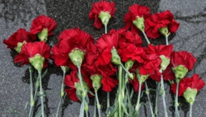 Актер Александр Зиновьев скончался