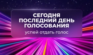 ДО КОНЦА ГОЛОСОВАНИЯ ОСТАЛОСЬ НЕСКОЛЬКО ЧАСОВ